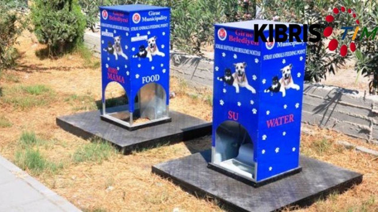 "Sokak hayvanlarına sahip çıkalım"