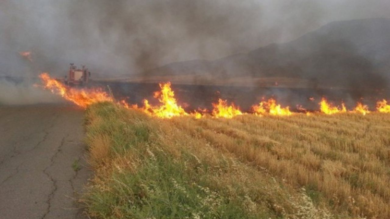 Mormenekşe ve Çayönü'nde arazi yangını