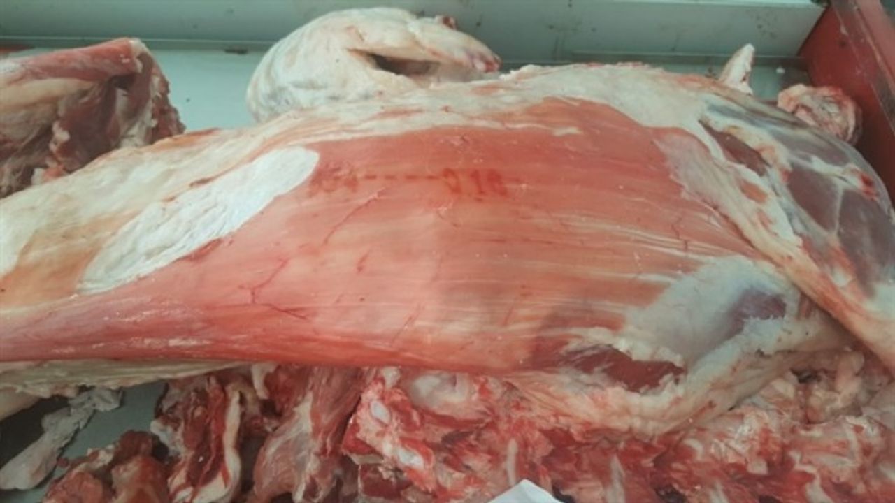 Vadili'de 350 kilo kaçak et ele geçirildi