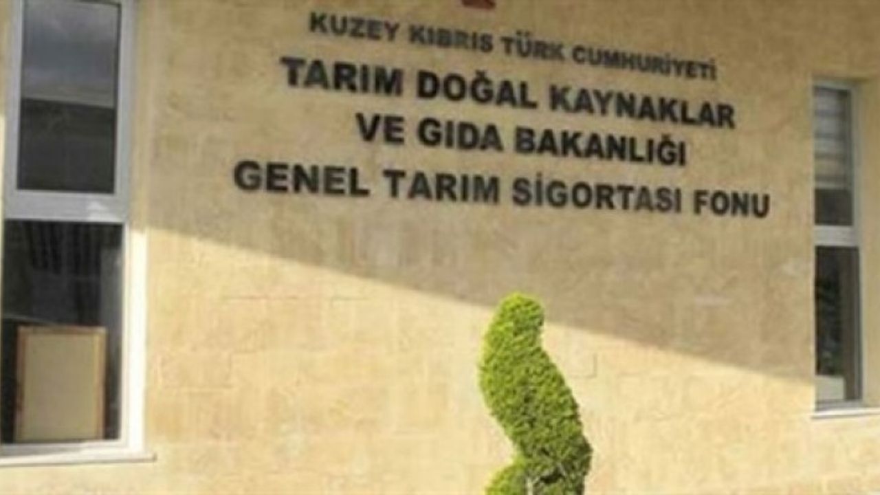 Tarım Dairesi çalışmalarına Dipkarpaz ile devam ediyor