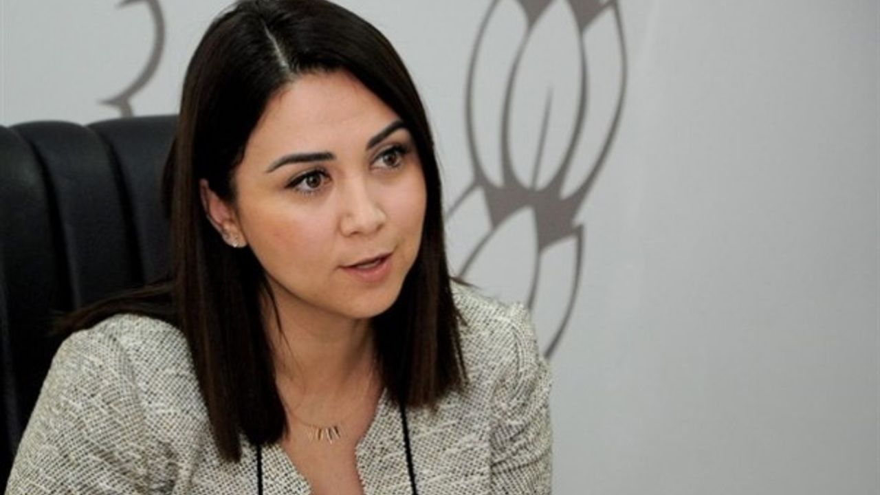 “Öngörülebilir bir açılım sunulmamış olması en büyük sorundur”