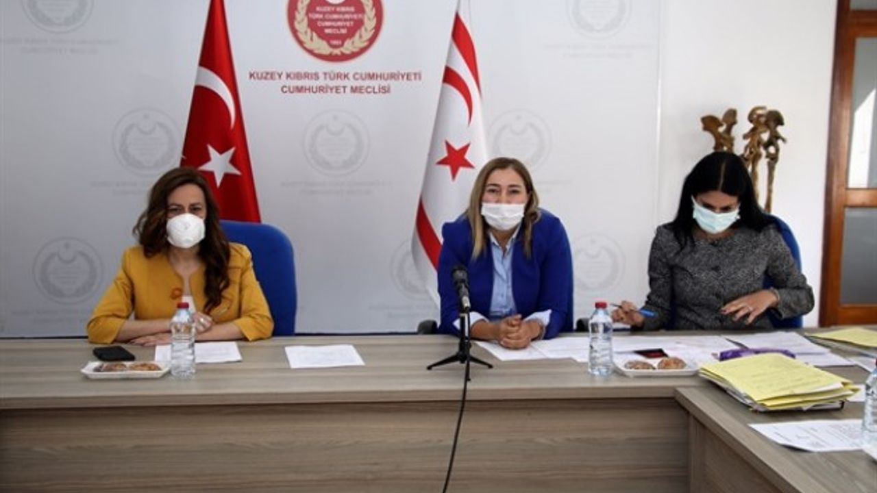 “Evlilik Dışı Çocuklar Yasa Önerisi” görüşüldü...