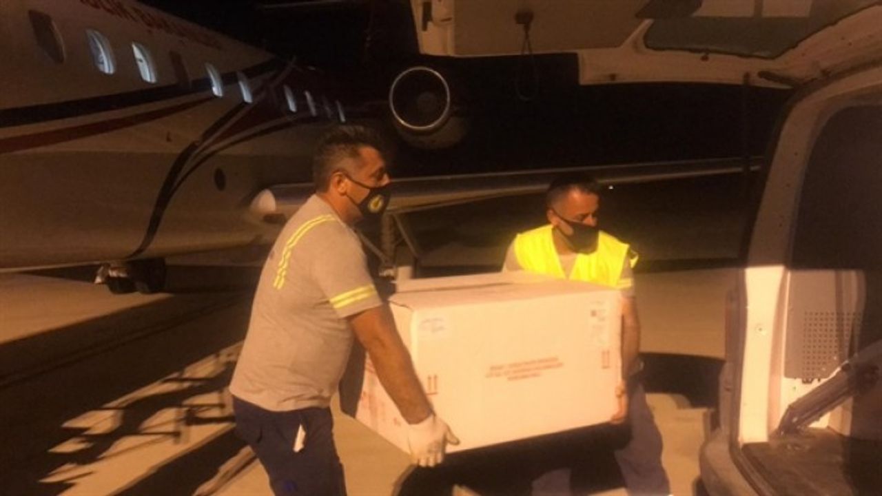 Türkiye’den 50 bin doz daha aşı geldi