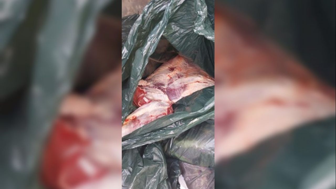 Akıncılarda 1.750 kilo kaçak et ele geçirildi