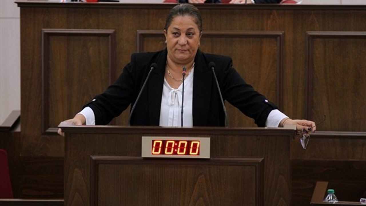 Koalisyon hükümetinin programı Meclis’te görüşüldü