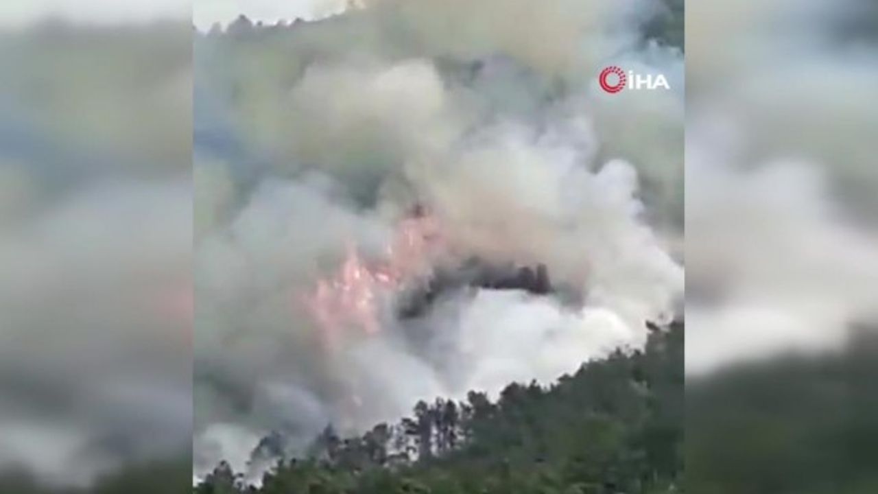 Çin'de 132 kişi taşıyan uçak düştü!