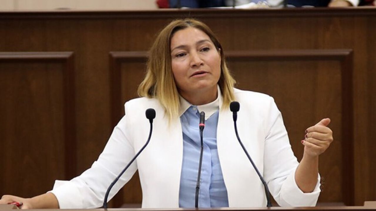Öztürk: Ara seçimin 25 Haziran’da yapılması için karar alınacak