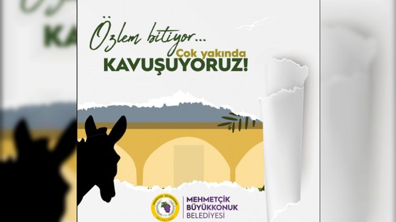 23. Geleneksel Eko Gün 8 Ekim’de yapılacak