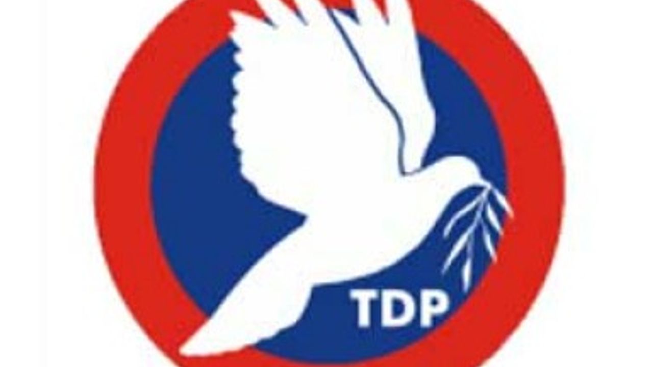 TDP KADIN ÖRGÜTÜ ANNELER GÜNÜ NEDENİYLE MESAJ YAYIMLADI