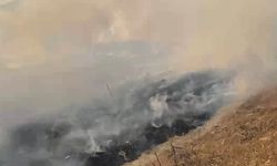 Avtepe - Kuruova arasında başlayan yangın kısmen kontrol altına alındı