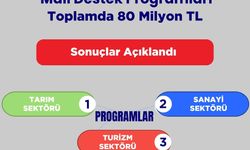 TC kaynaklarıyla finanse edilen 92 proje için 80 milyon TL kaynak tahsis edildi
