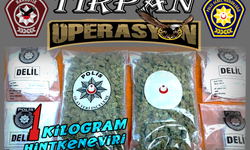 Hamitköy’de “Tırpan Operasyonu”...