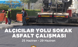 LTB, yarından itibaren Dumlupınar bölgesinde asfaltlama yapacak
