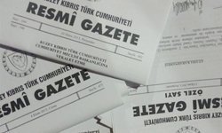 Onur Tümtürk, Para Kambiyo Dairesi Müdürü oldu