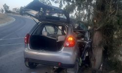 Boğazköy’de trafik kazası: 1 ölü, 3 yaralı