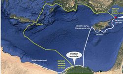 KUŞKOR, Ada martılarının Kıbrıs’taki popülasyonunu artırmak için çaba harcıyor