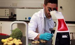 6 üründe limit üstü veya tavsiye dışı bitki koruma ürünü tespit edildi