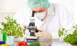 Gıda denetimleri… 6 yerli üründe limit üstü bitki koruma ürünü tespit edildi