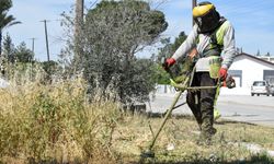 LTB kapsamlı temizlik başlattı