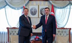 Türkiye'den elektrik ve doğalgaz geliyor