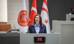 “Ülkenin dijital güvenliği ciddi bir güvenlik meselesi”