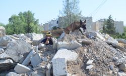 Arama Kurtarma Köpekleri Çalıştayı Düzenlendi