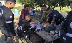 Akdeniz köyünde kayıp Tandöveroğlu, Sivil Savunmanın çalışmaları sonucunda bulundu
