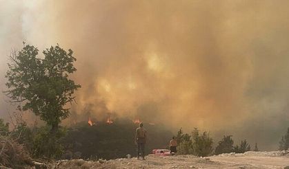 Limasol’a bağlı “Alasa” köyü bölgesinde çıkan yangının kontrolden çıktı