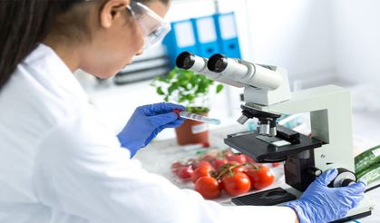 Limit üstü bitki koruma ürünü içeren 5 ithal, 5 yerli numuneye rastlandı