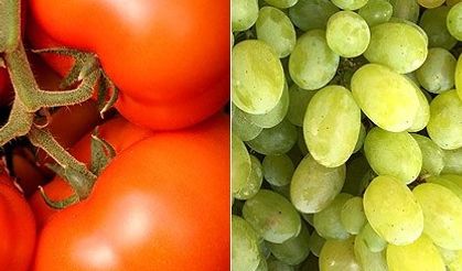 Gıda denetim sonuçları açıklandı