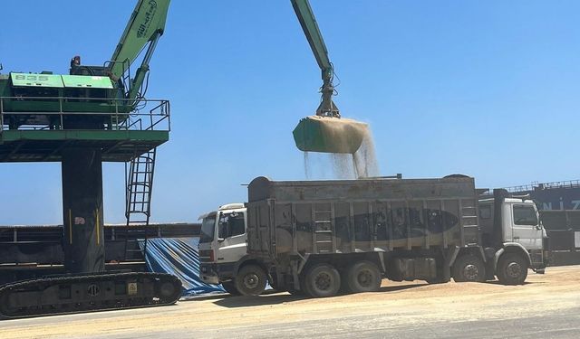 TÜK arpa tedarikinde sorun yaşanmayacağını açıkladı