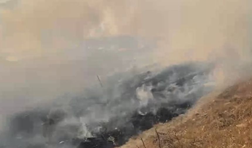 Avtepe - Kuruova arasında başlayan yangın kısmen kontrol altına alındı
