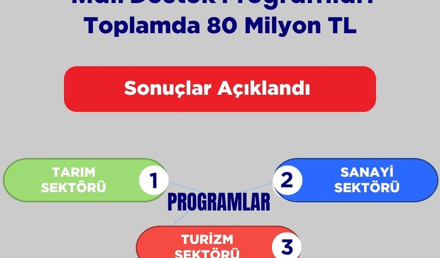 TC kaynaklarıyla finanse edilen 92 proje için 80 milyon TL kaynak tahsis edildi