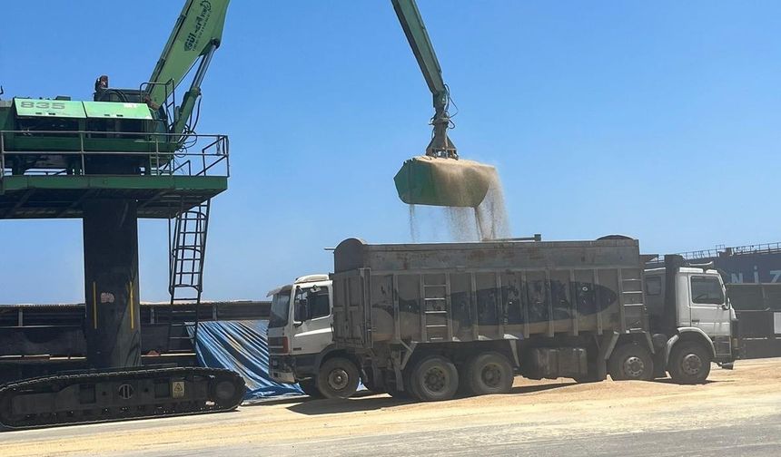 TÜK arpa tedarikinde sorun yaşanmayacağını açıkladı