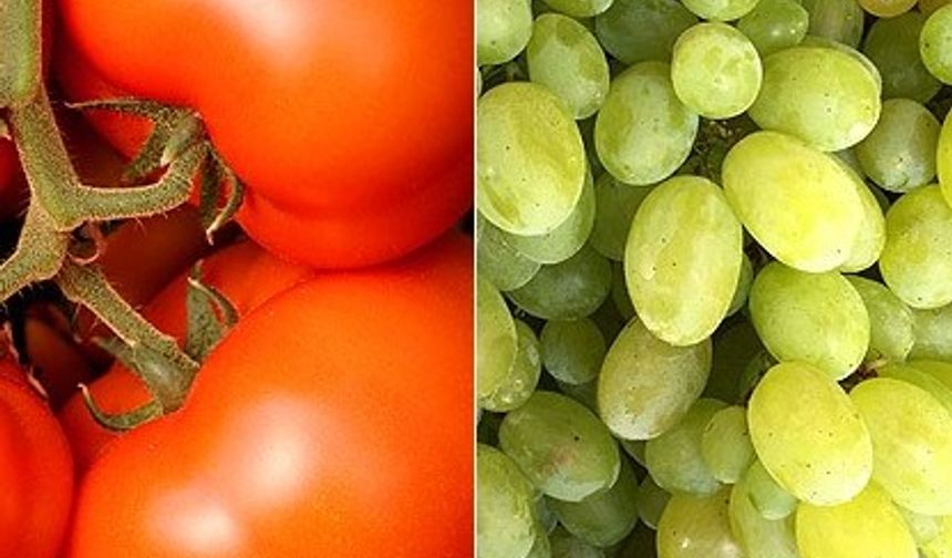 Gıda denetim sonuçları açıklandı