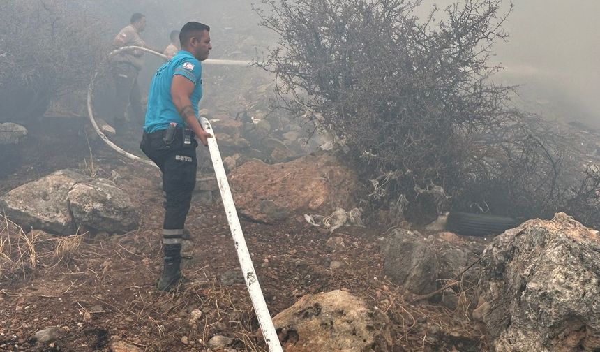 Boğazköy’de çıkan yangın, ekiplerin müdahalesiyle kontrol altına alındı