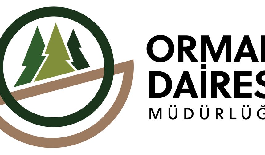 Orman Dairesi: Boğazköy'deki ağaç kesimi izinsiz yapıldı..