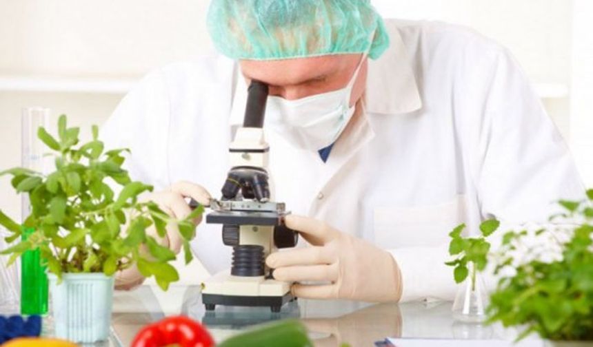 Gıda denetimleri… 6 yerli üründe limit üstü bitki koruma ürünü tespit edildi