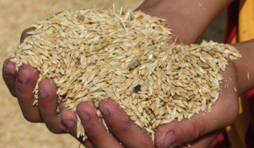 4 bin 500 ton arpanın yarın sabah Gazimağusa Limanı’na ulaşması bekleniyor