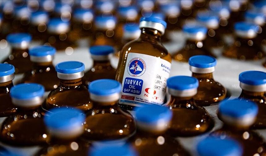 Güney Kıbrıs’a 50 bin doz şap aşısı daha…