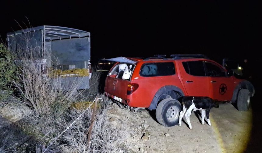 “Şap hastalığı Güneyden yayıldı, suçlamalar sorumluluktan kaçma girişimi”