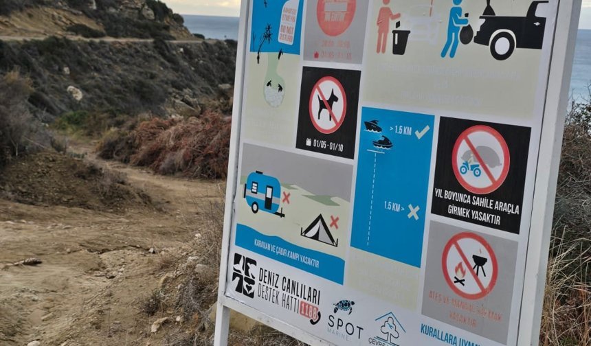 “Yuvalama sezonu öncesinde Kantara sahilinde önlem alın”