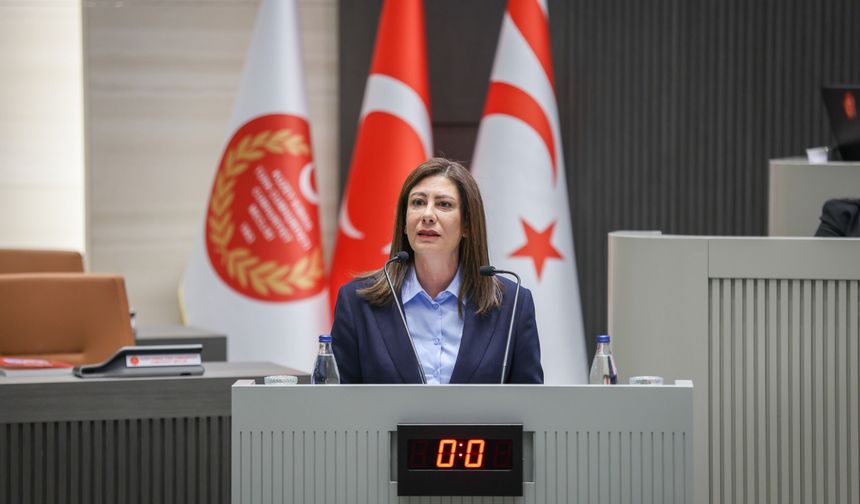 “Ülkenin dijital güvenliği ciddi bir güvenlik meselesi”