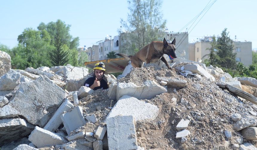 Arama Kurtarma Köpekleri Çalıştayı Düzenlendi