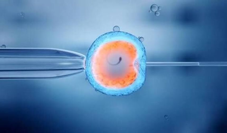 BBC'nin haberini araştırdık: Kıbrıs'ta tüp bebek skandalı